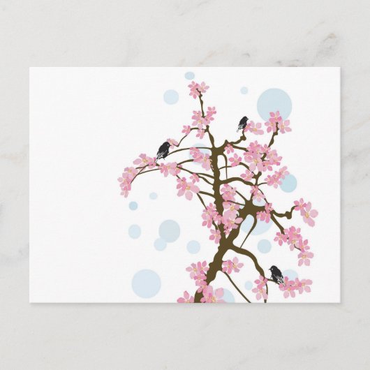 Sakura Postcard Postkarte (Vorderseite)