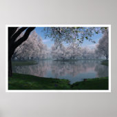 Sakura Poster (Vorne)