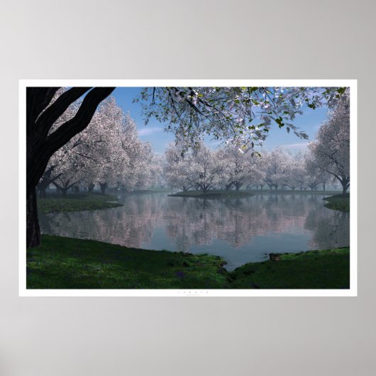 Sakura Poster (Vorne)