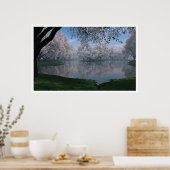 Sakura Poster (Küche)