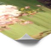 Sakura Poster (Ecke)