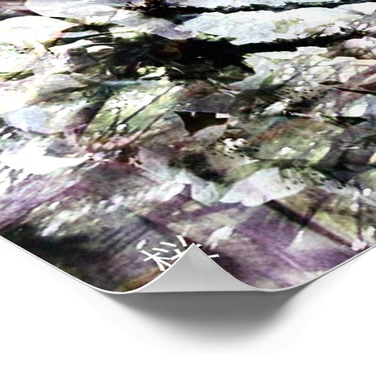 Sakura Poster (Ecke)