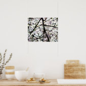 Sakura Poster (Küche)