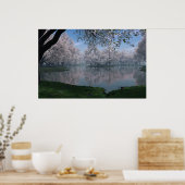 Sakura Poster (Küche)