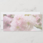 Sakura • Rettet das Datum Ankündigung (Rückseite)