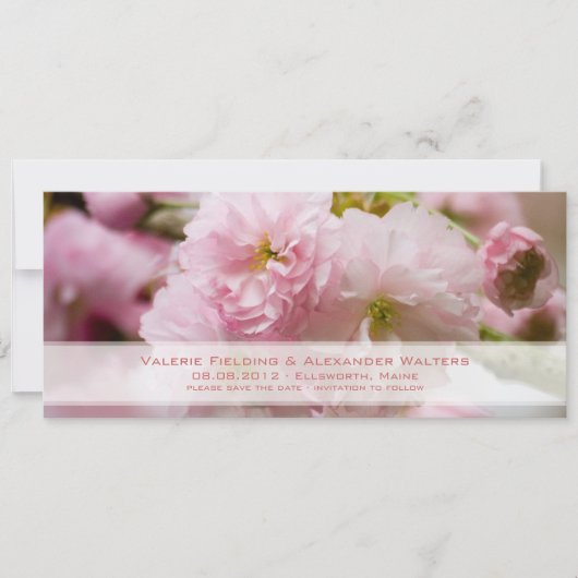 Sakura • Rettet das Datum Ankündigung (Vorderseite)