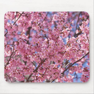 Sakura Rosa Kirschblütenhimmel Mousepad