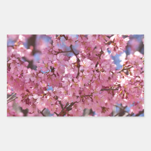 Sakura Rosa Kirschblütenhimmel Rechteckiger Aufkleber