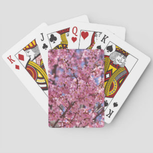 Sakura Rosa Kirschblütenhimmel Spielkarten