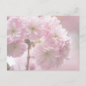 Sakura ・ Save the Date Postkarte (Rückseite)