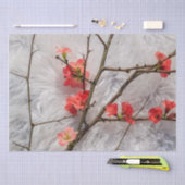 Sakura Seidenpapier (Handwerk)