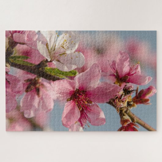 Sakura Splendor: Rosa japanische Blumenfotografie Puzzle (Horizontal)