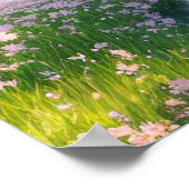 Sakura Stream, Paradies an der Brücke Poster (Ecke)