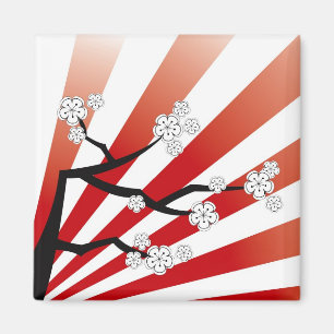 Sakura Sunrise White Cheroms Blume Zen Magnet