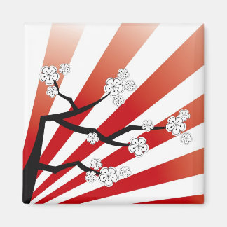 Sakura Sunrise White Cheroms Blume Zen Magnet