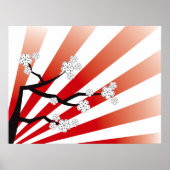 Sakura Sunrise White Cheroms Blume Zen Poster (Vorne)