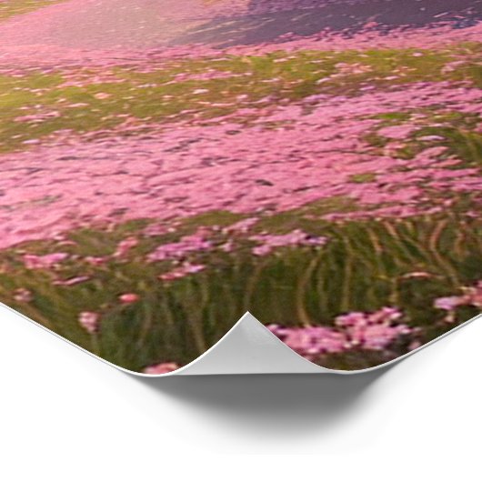 Sakura Trail Poster (Ecke)