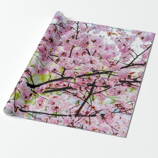 Sakura Tree in voller rosa Blüte im Frühling Geschenkpapier (Ungerollt)