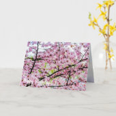 Sakura Tree in voller rosa Blüte im Frühling Karte (Gelbe Blume)