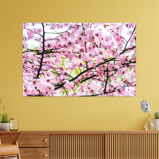 Sakura Tree in voller rosa Blüte im Frühling Leinwanddruck (Insitu (Wohnzimmer))