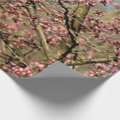 Sakura Tree ist bereit im Frühling zu blühen Geschenkpapier (Ecke)