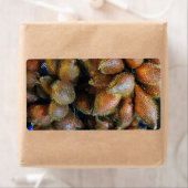 Salak [Schlangenfrucht] (Insitu)