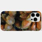 Salak [Schlangenfrucht] Case-Mate iPhone Hülle (Rückseite (Horizontal))