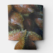 Salak [Schlangenfrucht] Dosenkühler (Rückseite)
