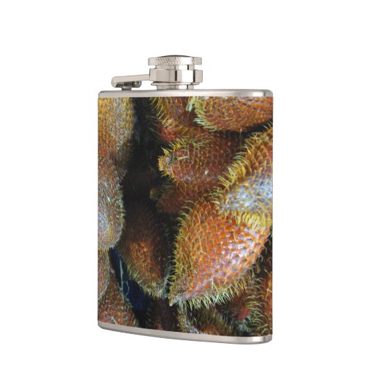 Salak [Schlangenfrucht] Flachmann (Links)