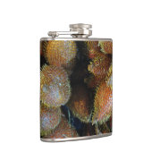 Salak [Schlangenfrucht] Flachmann (Rechts)