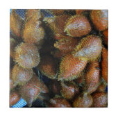 Salak [Schlangenfrucht] Fliese (Vorderseite)