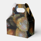 Salak [Schlangenfrucht] Geschenkschachtel (Rückseite)