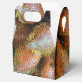 Salak [Schlangenfrucht] Geschenkschachtel (Geöffnet)