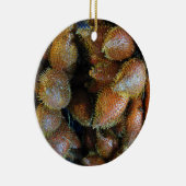 Salak [Schlangenfrucht] Keramik Ornament (Rechts)