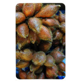 Salak [Schlangenfrucht] Magnet (Vertikal)