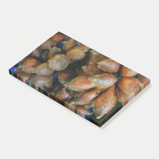 Salak [Schlangenfrucht] Post-it Klebezettel (angewinkelt)
