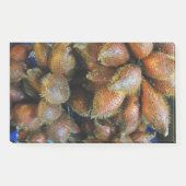 Salak [Schlangenfrucht] Post-it Klebezettel (Vorderseite)