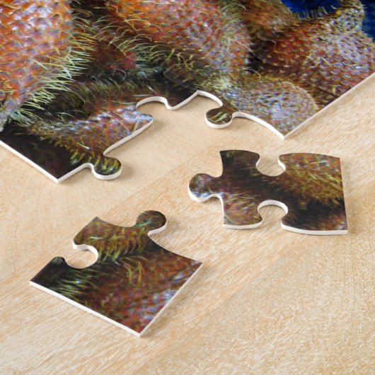 Salak [Schlangenfrucht] Puzzle (Seite)