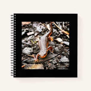 Salamander im Wald, Oregon Notizblock