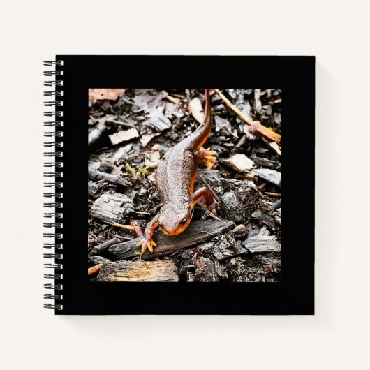 Salamander im Wald, Oregon Notizblock (Vorderseite)