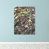 Salamander im Wald, Washington Leinwanddruck (Insitu (Holzboden))
