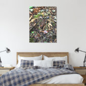 Salamander im Wald, Washington Leinwanddruck (Insitu (Schlafzimmer))