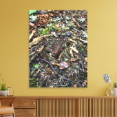 Salamander im Wald, Washington Leinwanddruck (Insitu (Wohnzimmer))