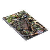 Salamander im Wald, Washington Notizblock (Rechte Seite)