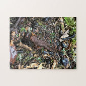 Salamander im Wald, Washington Puzzle (Horizontal)