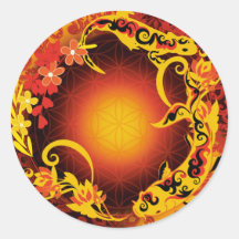 Salamander Karpe Koi