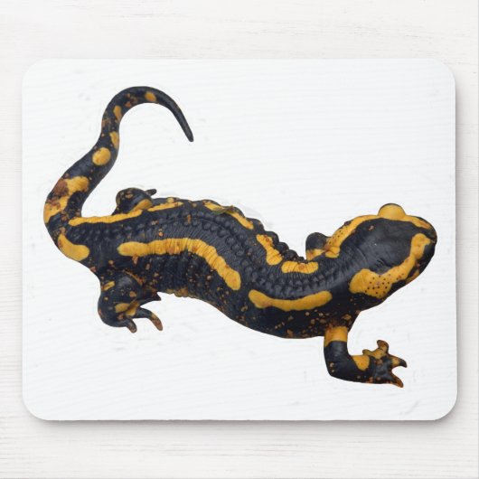 Salamander Mouse Mat Mousepad (Vorne)