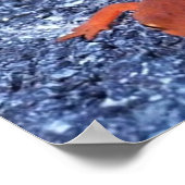 Salamander Poster (Ecke)