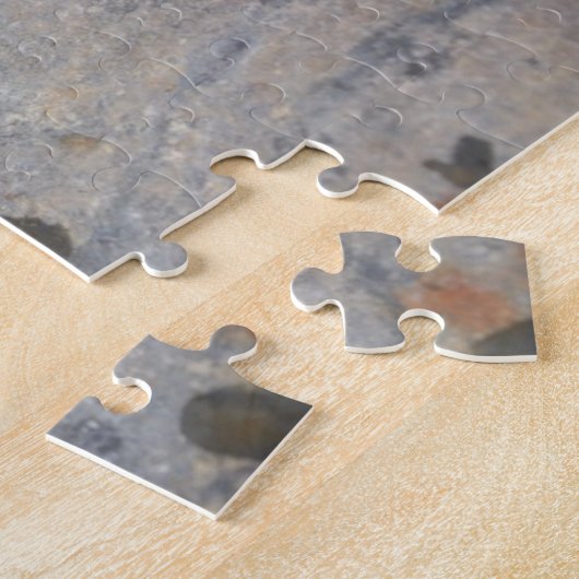 Salamander Puzzle (Seite)