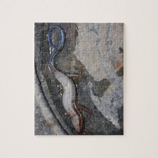 Salamander Puzzle (Vertikal)